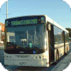 Cranbourne Transit fleet images